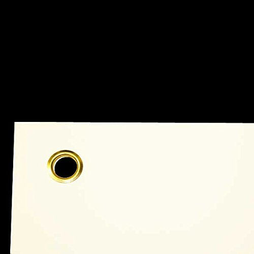 Foot and Ankle Anatomical Chart