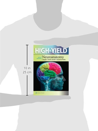 High-Yield Neuroanatomy (High-Yield Series)