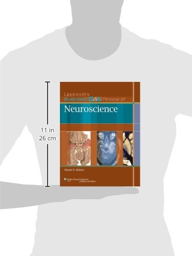 Lippincott's Illustrated Q&A Review of Neuroscience (Lippincott Illustrated Reviews Series)