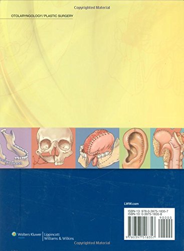 Multidisciplinary Head and Neck Reconstruction: A Defect-Oriented Approach