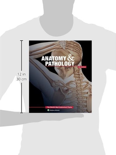 Anatomy & Pathology:The World's Best Anatomical Charts Book (The World's Best Anatomical Chart Series)