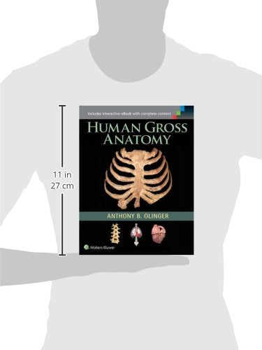 Human Gross Anatomy