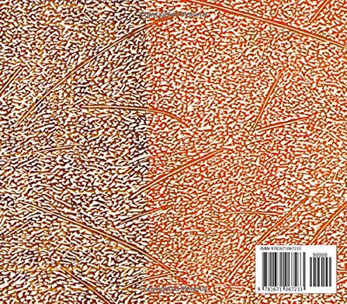 ...regras e suas exceções... Maria Lucia Cattani: Exhibition catalogue (Portuguese Edition)