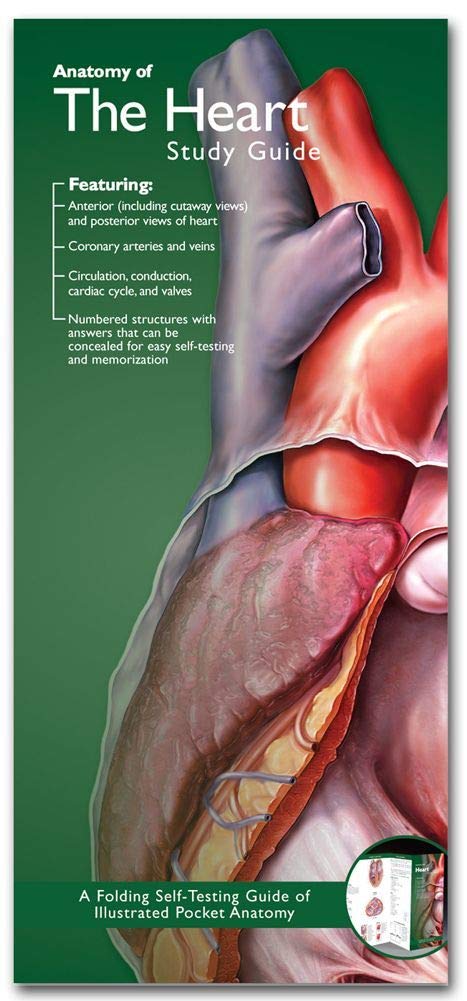 Anatomical Chart Company's Illustrated Pocket Anatomy: Anatomy of The Heart Study Guide