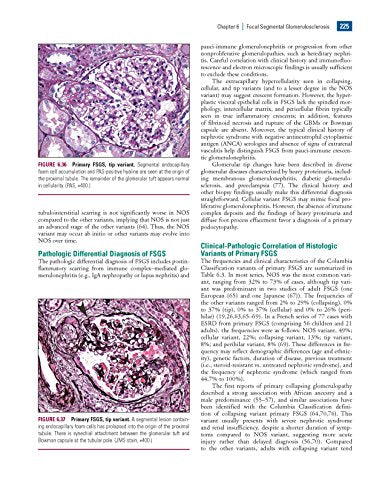 Heptinstall's Pathology of the Kidney