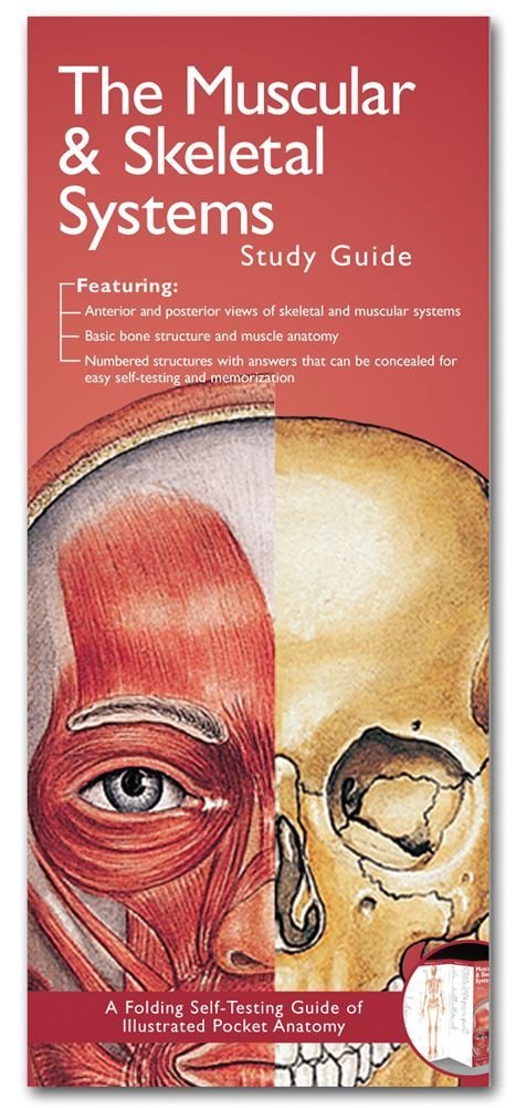 Anatomical Chart Company's Illustrated Pocket Anatomy: The Muscular & Skeletal Systems Study Guide