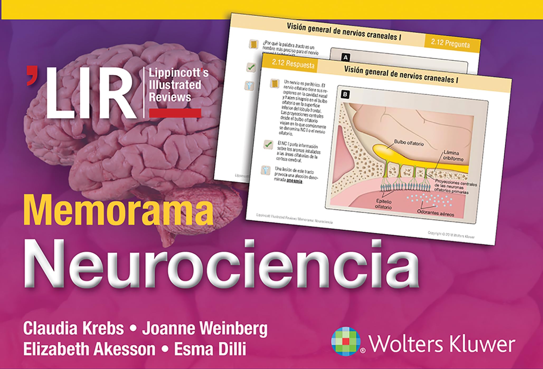 Memorama. Neurociencia (Lippincott Illustrated Reviews Series) (Spanish Edition)