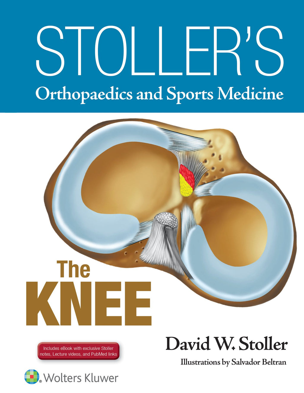 Stoller's Orthopaedics and Sports Medicine: The Knee: Includes Stoller Lecture Videos and Stoller Notes