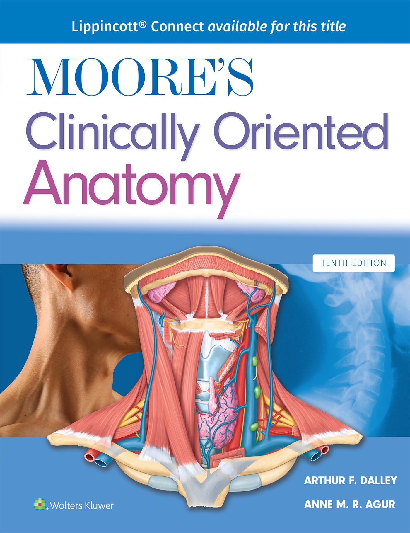 Moore's Clinically Oriented Anatomy (Lippincott Connect)