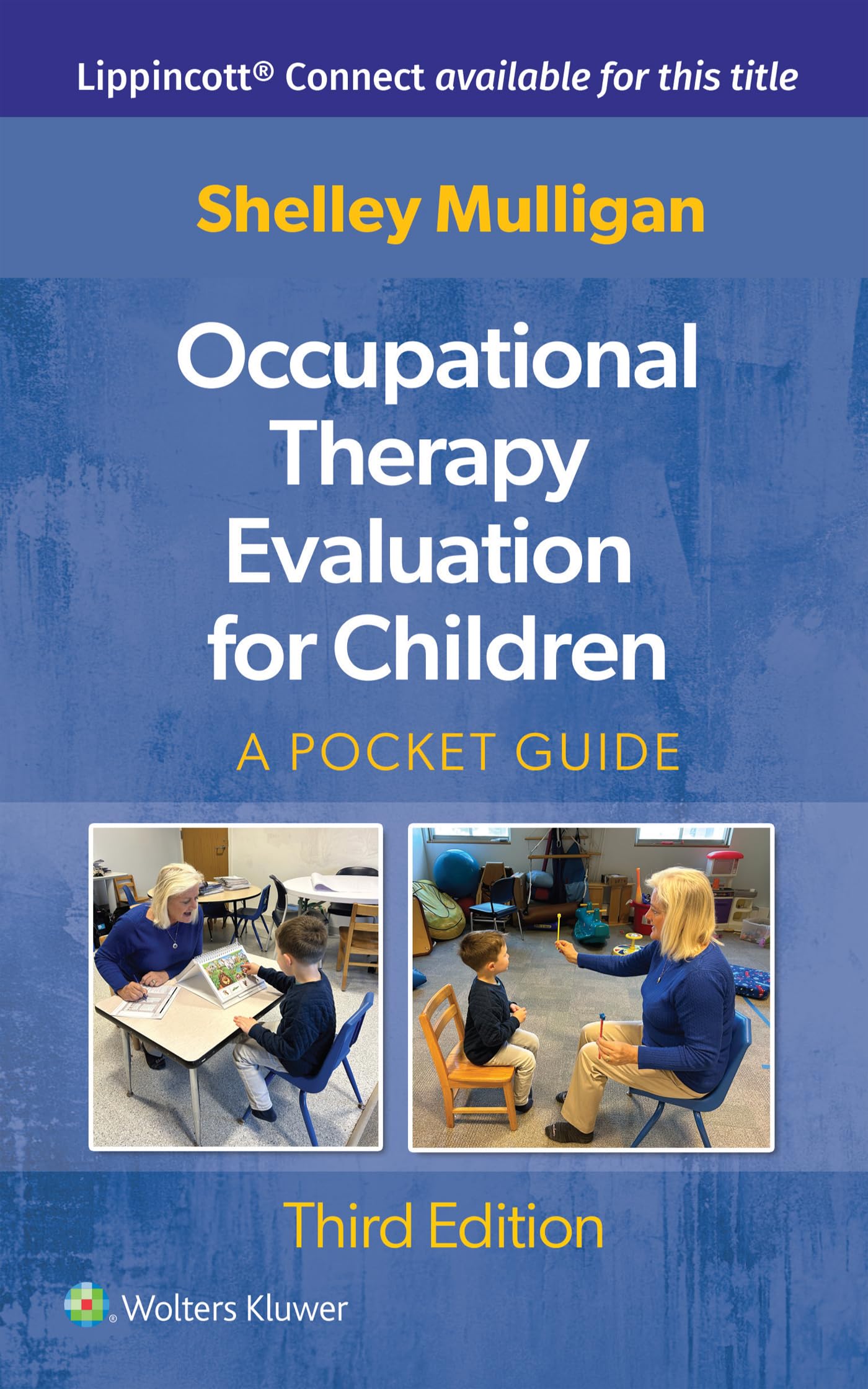 Occupational Therapy Evaluation for Children: A Pocket Guide (Lippincott Connect)