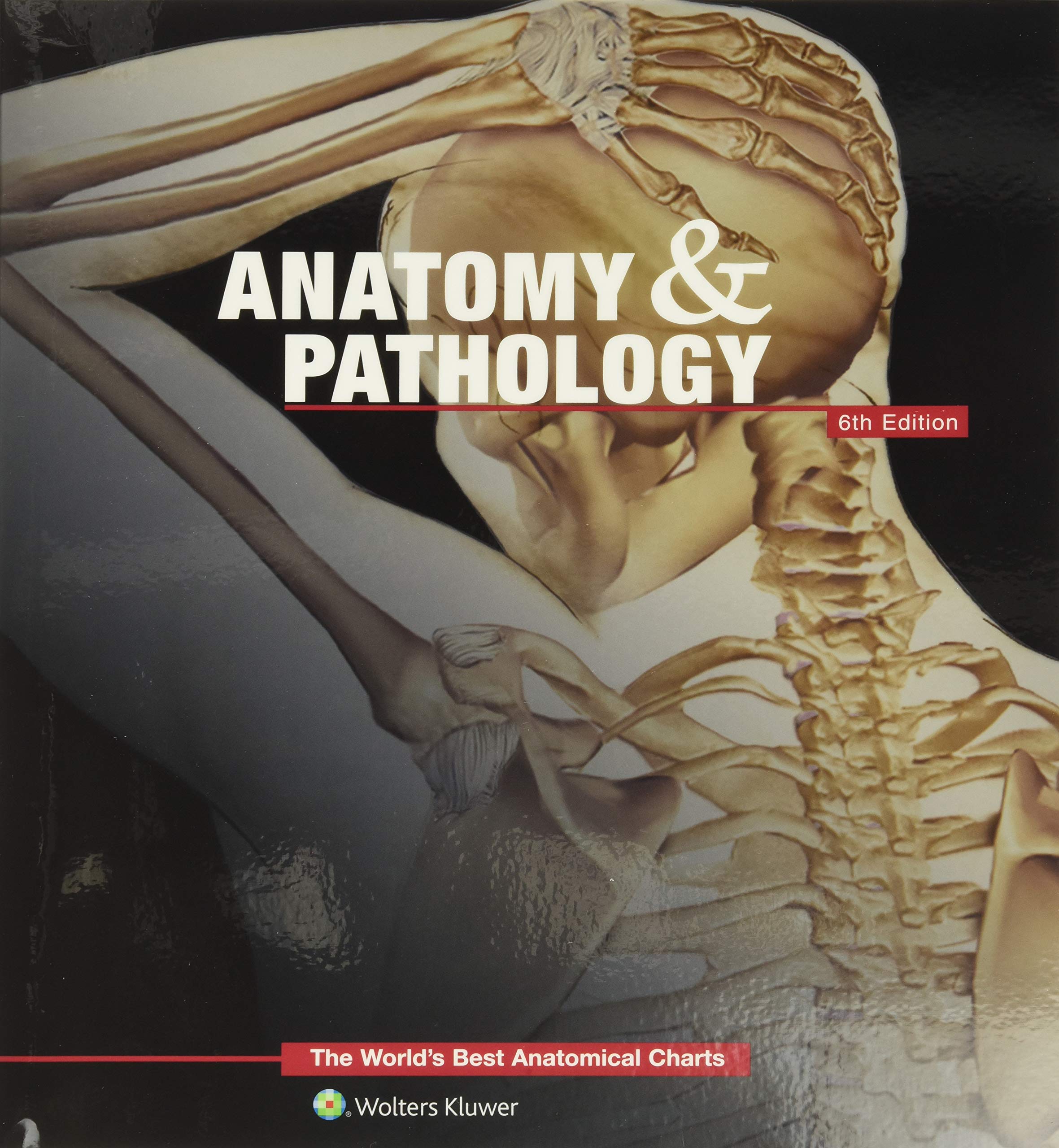 Anatomy & Pathology:The World's Best Anatomical Charts Book (The World's Best Anatomical Chart Series)