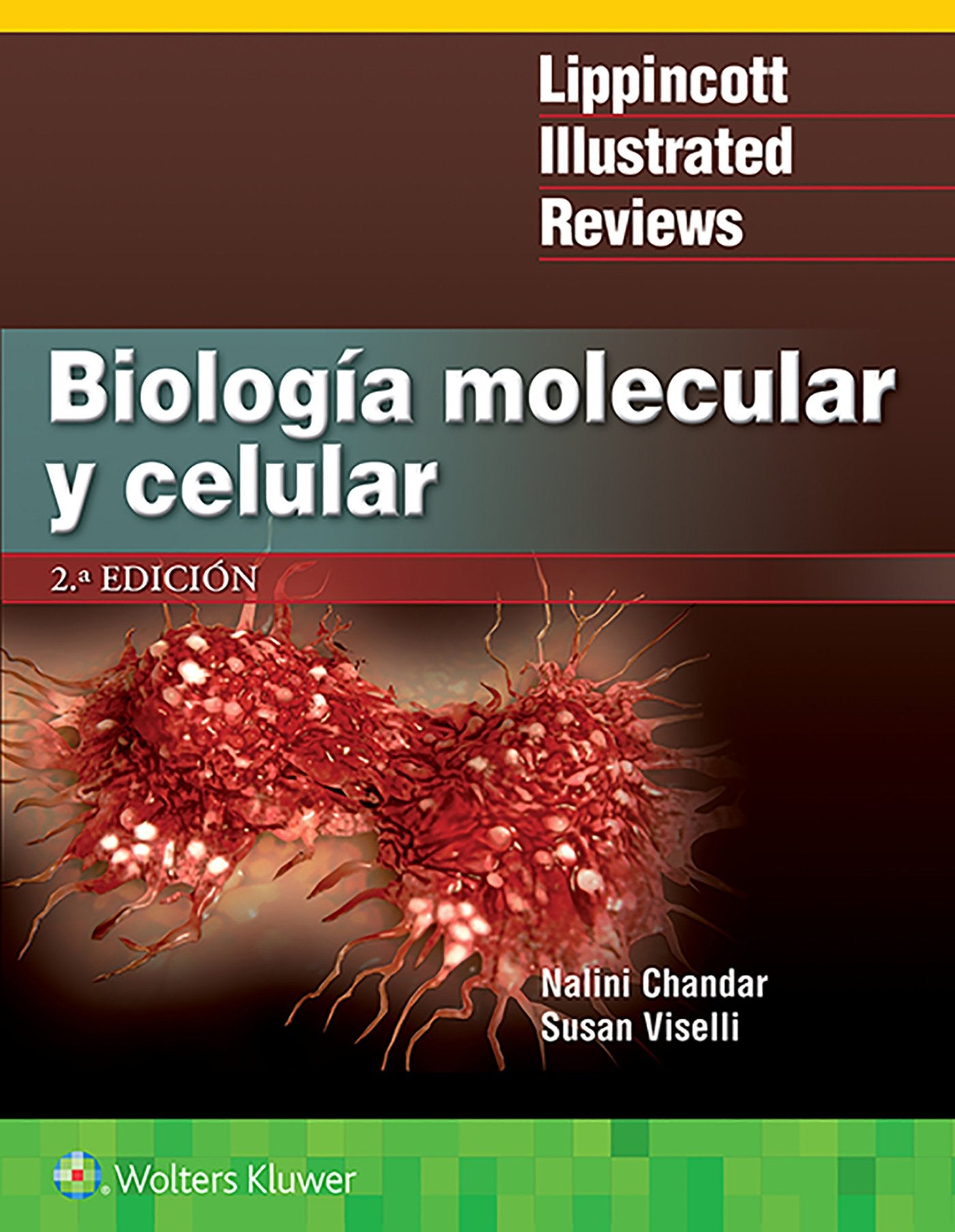 LIR. Biología molecular y celular (Lippincott Illustrated Reviews Series) (Spanish Edition)
