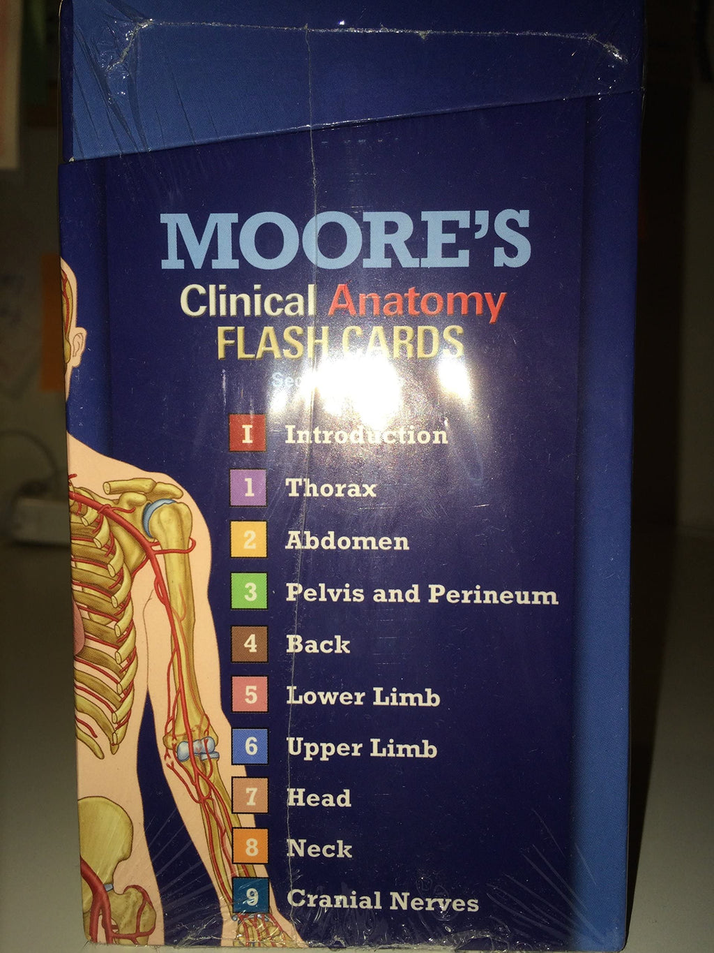 Moore's Clinical Anatomy Flash Cards