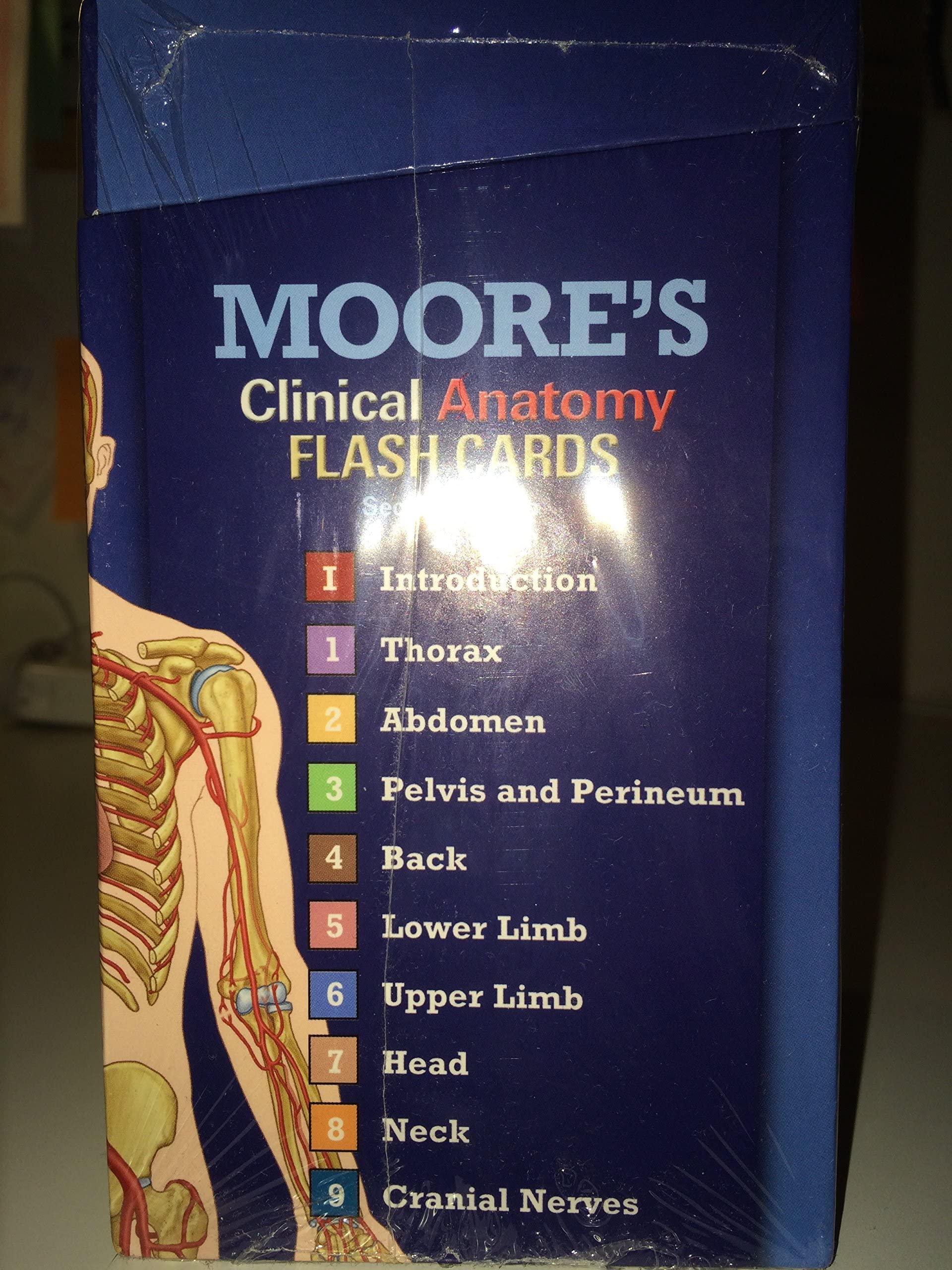 Moore's Clinical Anatomy Flash Cards