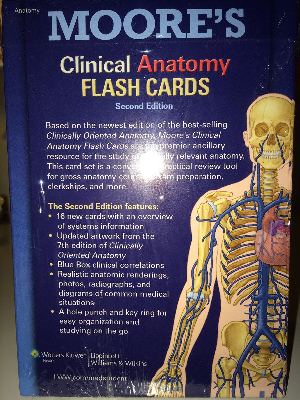 Moore's Clinical Anatomy Flash Cards
